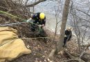 Ottawa Fire Crews Rescue Three People And Two Dogs On Rideau River This Week