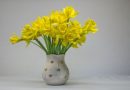 April is Daffodil Month