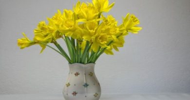 April is Daffodil Month